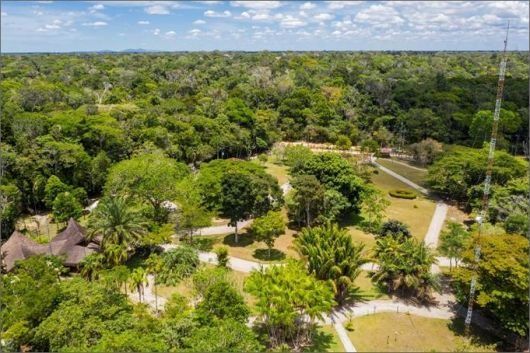 Foto: Ascom/ Veracel Celulose