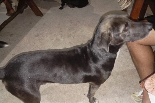 Foto: A Gazeta Bahia